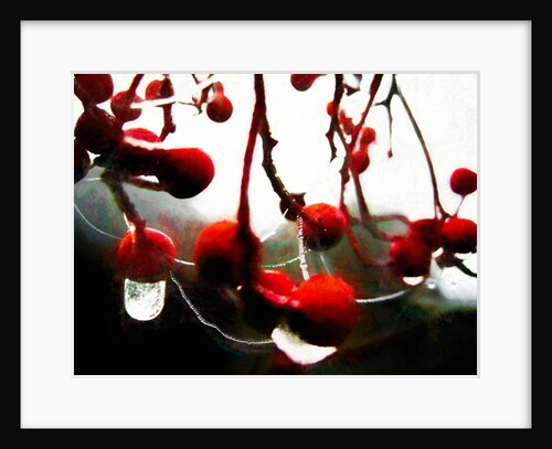 Lush Berries, 2018 by Helen White