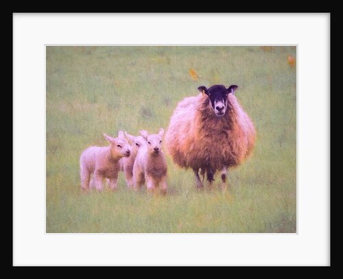 Triplets, 2018 by Helen White