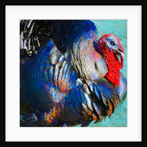 Turkey Lurky, 2018 by Helen White