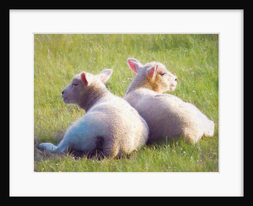 Twins, 2018 by Helen White