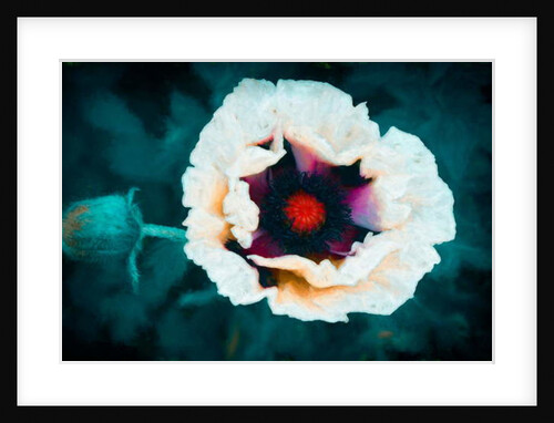 All Heart, 2018 by Helen White