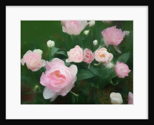 Bed of Roses, 2018 by Helen White