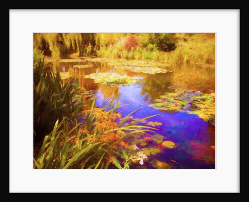 Giverny Waterlilies, 2019 by Helen White