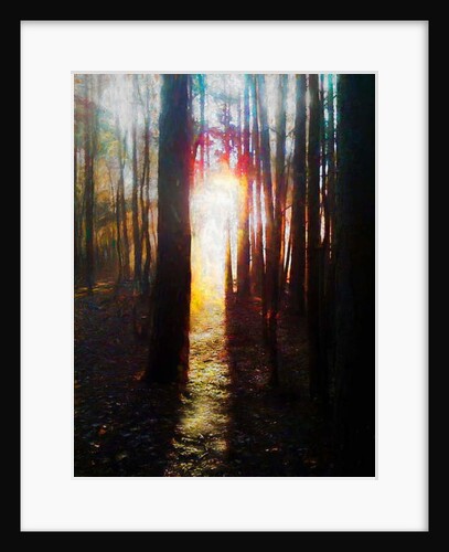 The Arrival, 2019 by Helen White