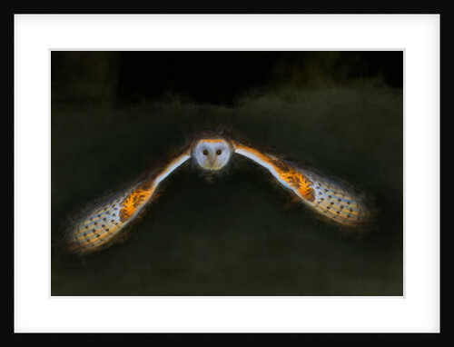 Night Flight, 2018 by Helen White
