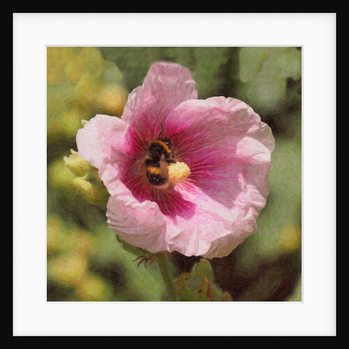 Rolling in nectar, 2017 by Helen White