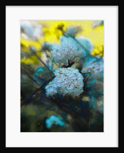 Blooming Maytime, 2019 by Helen White