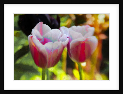 Lit Up Inside, 2019, by Helen White