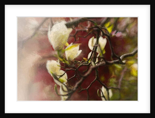 Magnolia, 2018 by Helen White