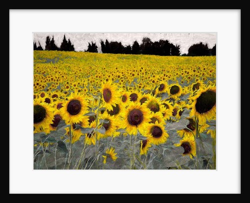 Sunny-Sided Hill, 2019 (manipulated photography by Helen White