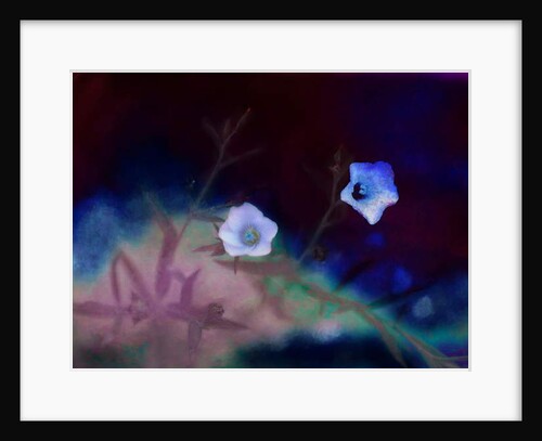 Transience, 2019 by Helen White