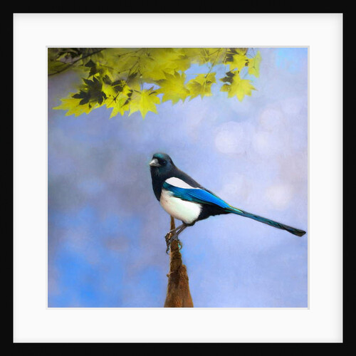 Balance Keeper, 2019 by Helen White