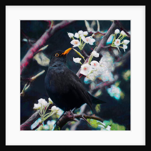 Lord of the Summer Song, 2019 by Helen White