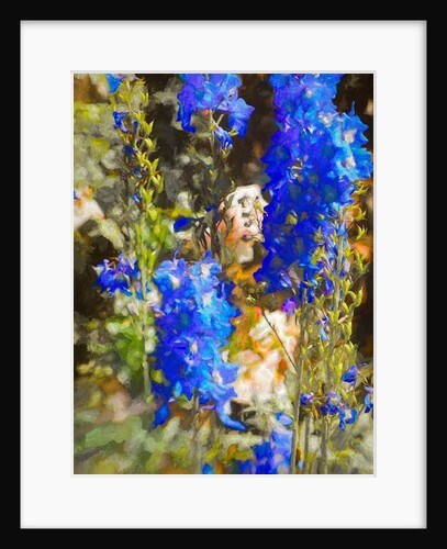 Blue Delphiniums, 2019 by Helen White