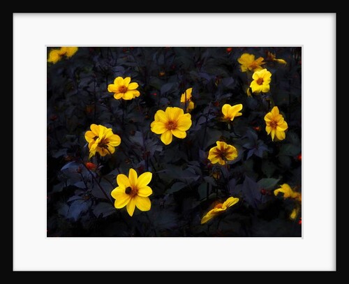 Yellow Velvet, 2019 by Helen White