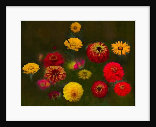 Outstanding Beauty, 2019 by Helen White