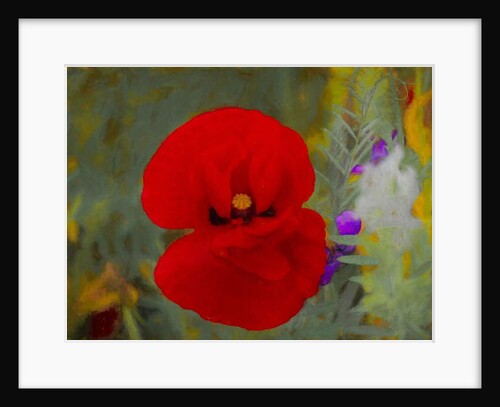 Scarlet, 2019 by Helen White