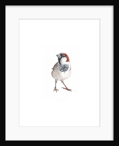 Male Sparrow III, 2022 by Helen White