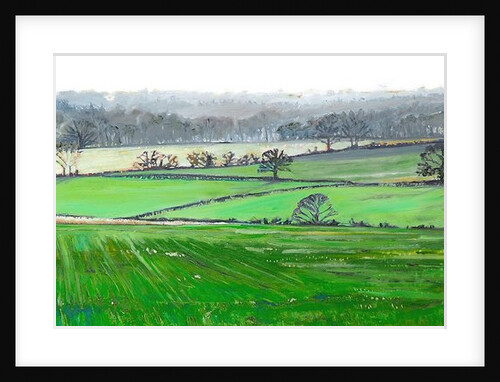 From the Top of Farley Hill, 2008 by Helen White