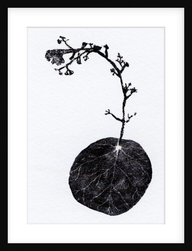 Lichen Leaf, 2014 by Bella Larsson
