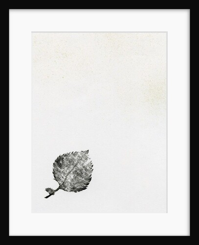 Leaf {Fay-erie Dust}, 2014 by Bella Larsson