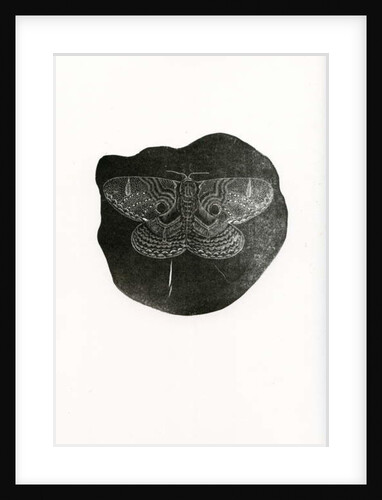 Night Butterfly, 2016 by Bella Larsson