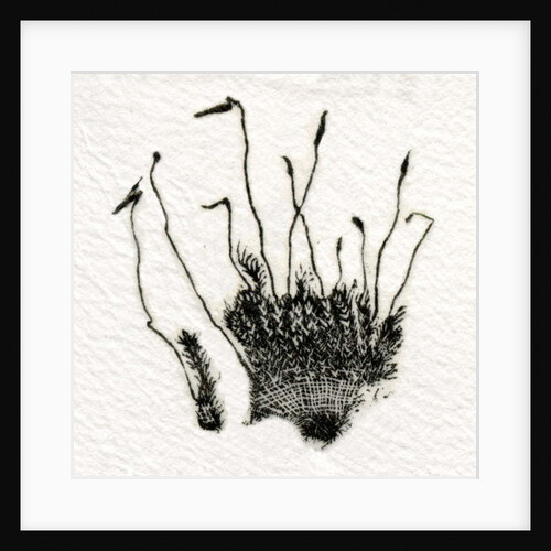 Budding Moss, 2014 by Bella Larsson