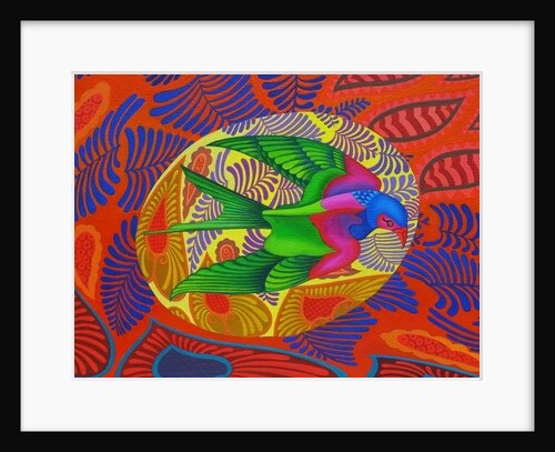 Swallow-tailed kite, 2012 by Jane Tattersfield