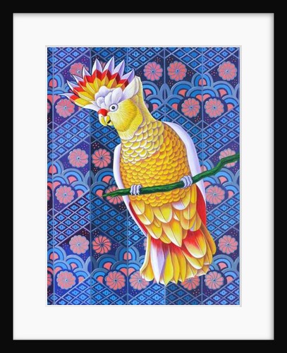Cockatoo, 2016 by Jane Tattersfield