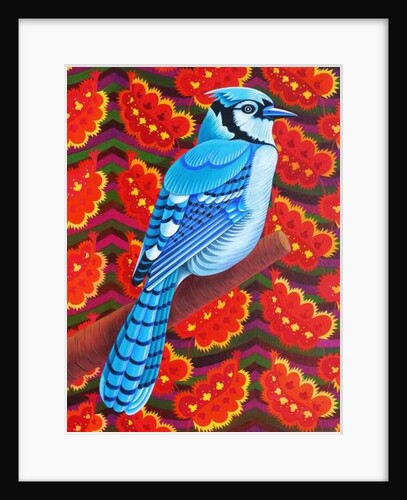 Blue Jay, 2016 by Jane Tattersfield
