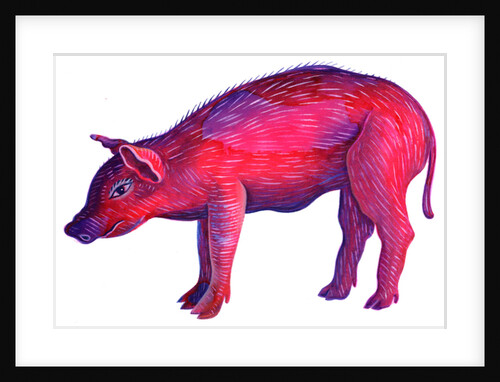 Pig, 1996 by Jane Tattersfield