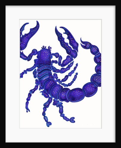 Scorpio, 1996 by Jane Tattersfield