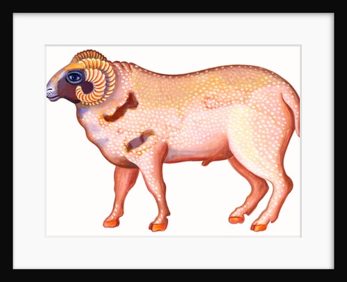 Aries the Ram, 1996 by Jane Tattersfield