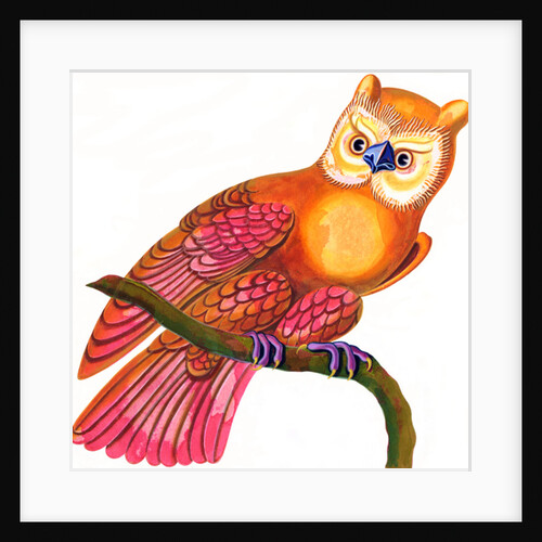 Owl, 1997 by Jane Tattersfield