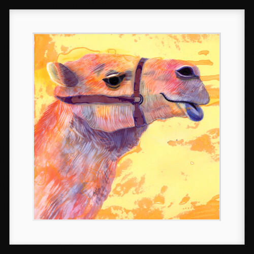 Camel, 1994 by Jane Tattersfield