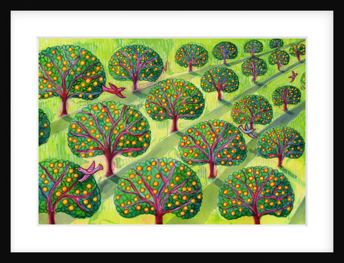 Orchard by Jane Tattersfield