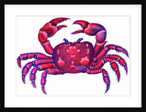 Cancer the Crab, 1996 by Jane Tattersfield