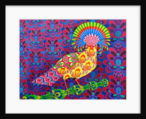 Fly catcher, 2017 by Jane Tattersfield