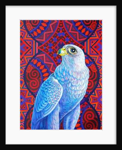 Grey falcon, 2017 by Jane Tattersfield
