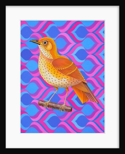 Song thrush, 2023 by Jane Tattersfield