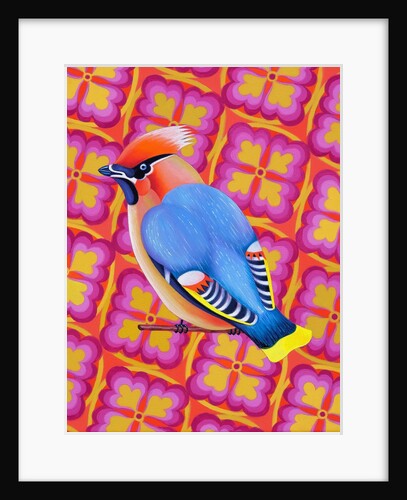 Waxwing, 2023 by Jane Tattersfield