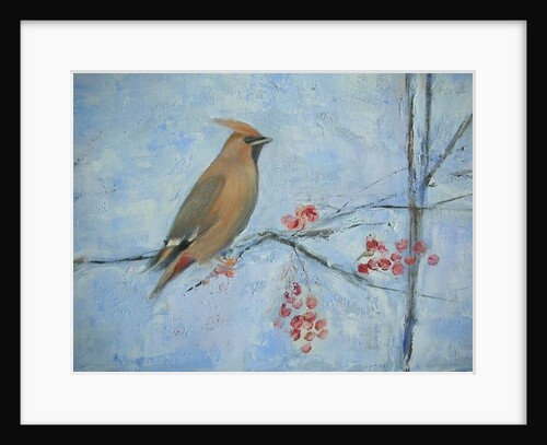 Waxwing by Ruth Addinall