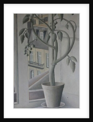 Plant in Window by Ruth Addinall