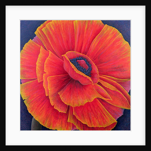 Big Poppy, 2003 by Ruth Addinall