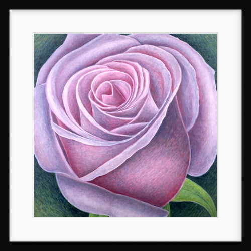 Big Rose, 2003 by Ruth Addinall
