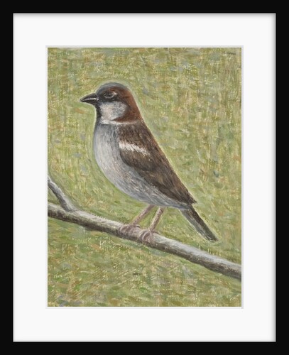House Sparrow, 2008 by Ruth Addinall