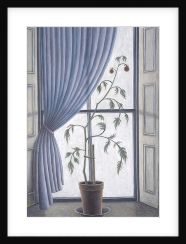 Plant in Window, 2003 by Ruth Addinall