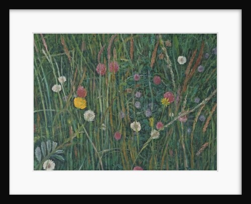 Plants of the Machair, 2008 by Ruth Addinall