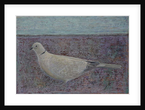 I am the Collared Dove, 2016 by Ruth Addinall