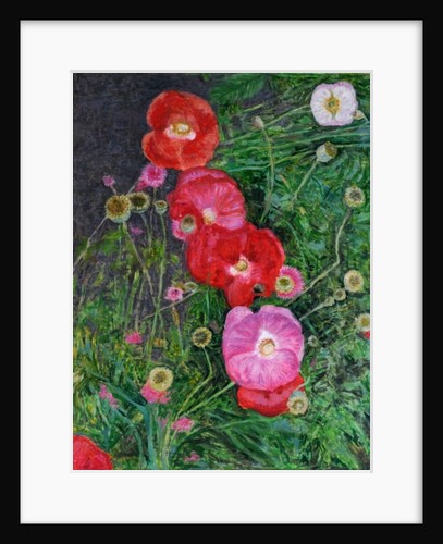 Poppies, 2009 by Ruth Addinall